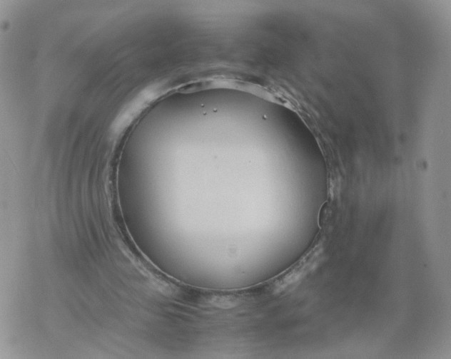 X0000074330341200609152102