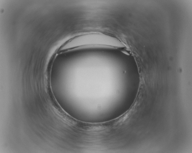 X0000074330342200609152102