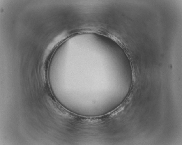 X0000074330343200609152102