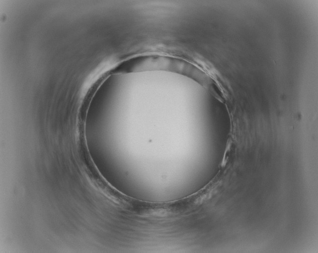 X0000074330344200609152102