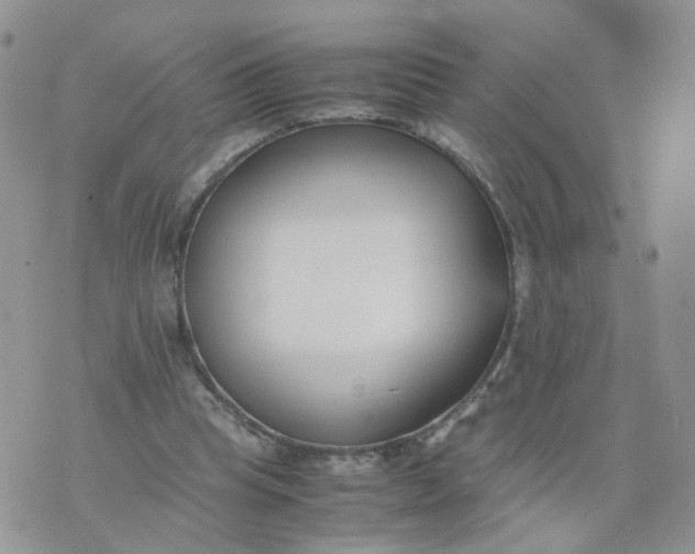 X0000074330345200609152102