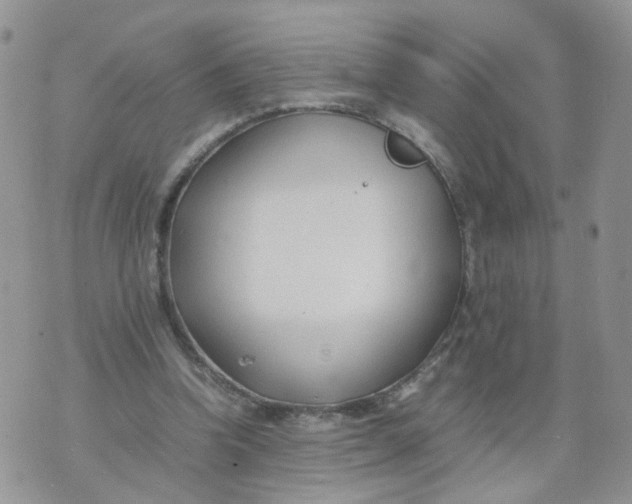 X0000074330346200609152102