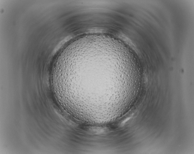 X0000074330347200609152102