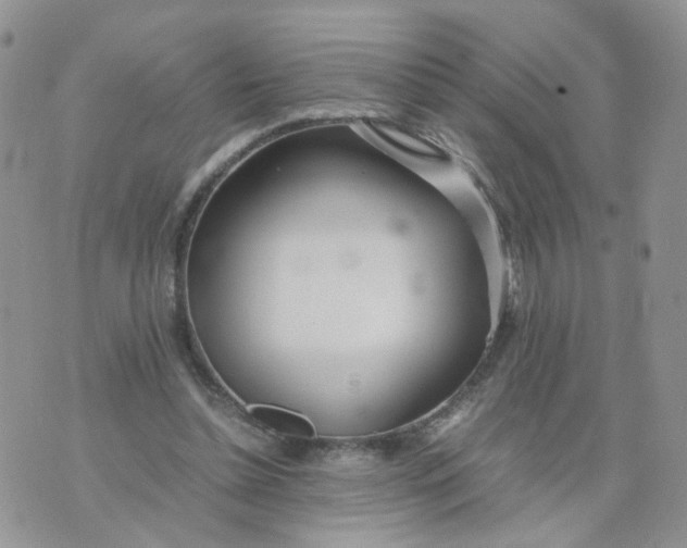 X0000074330348200609152102