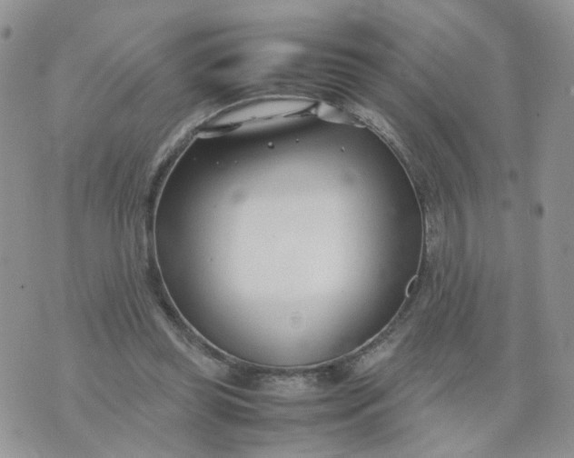 X0000074330349200609152102