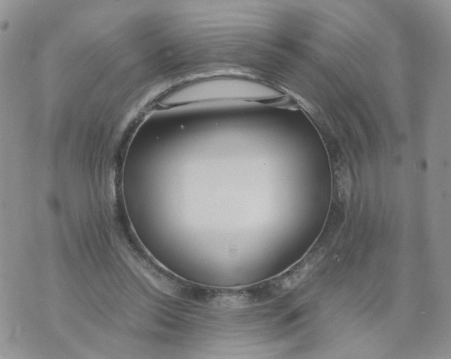 X0000074330350200609152102