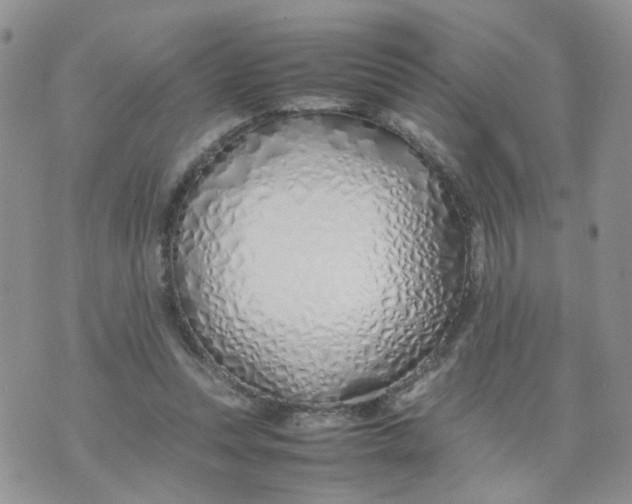 X0000074330351200609152102