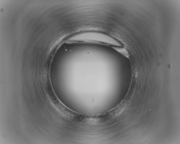 X0000074330352200609152102