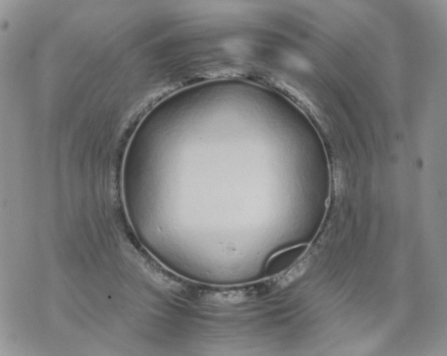 X0000074330353200609152102