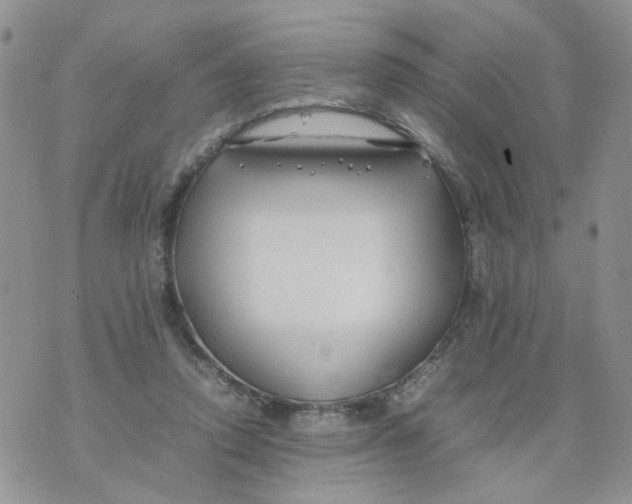 X0000074330354200609152102