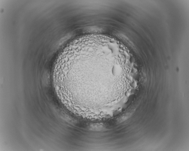 X0000074330355200609152102