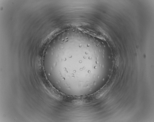 X0000074330356200609152102