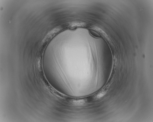 X0000074330357200609152102