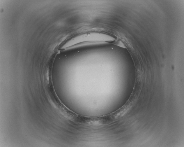 X0000074330358200609152102