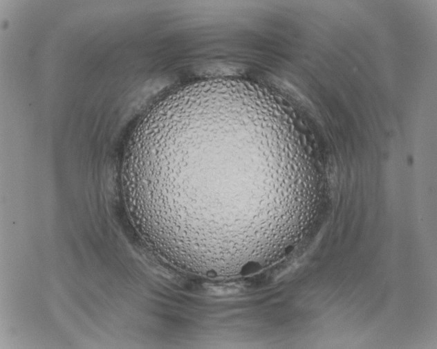 X0000074330359200609152102