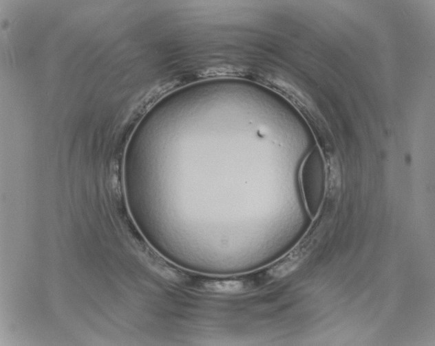 X0000074330361200609152103