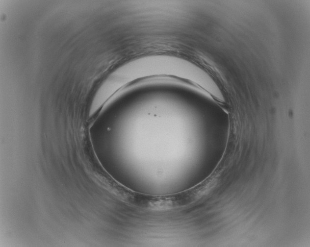 X0000074330362200609152103