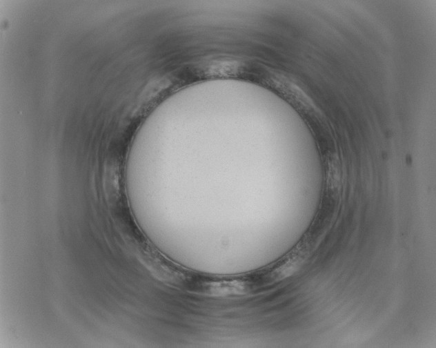 X0000074330363200609152103