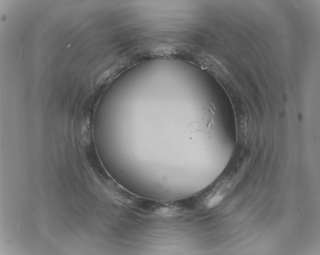 X0000074330364200609152103