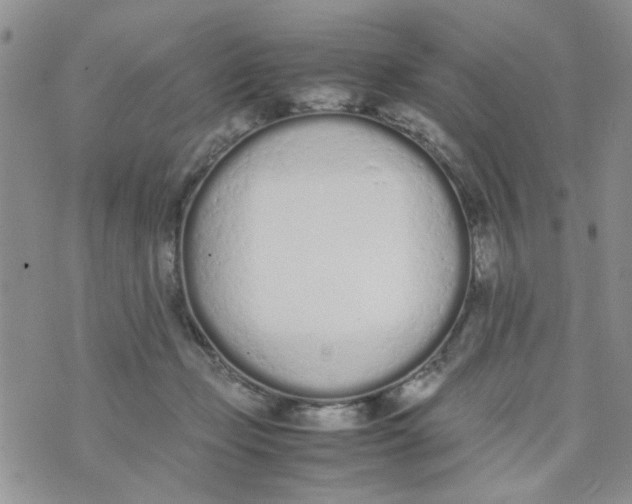 X0000074330365200609152103