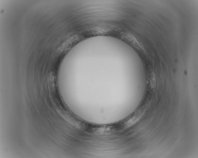 X0000074330366200609152103