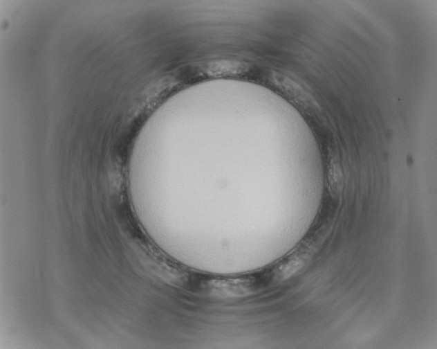 X0000074330367200609152103