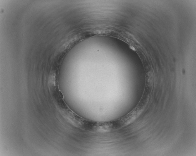 X0000074330368200609152103