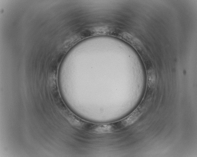 X0000074330369200609152103