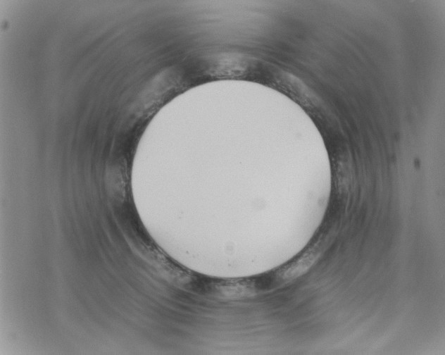 X0000074330370200609152103