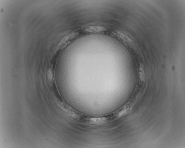 X0000074330371200609152103