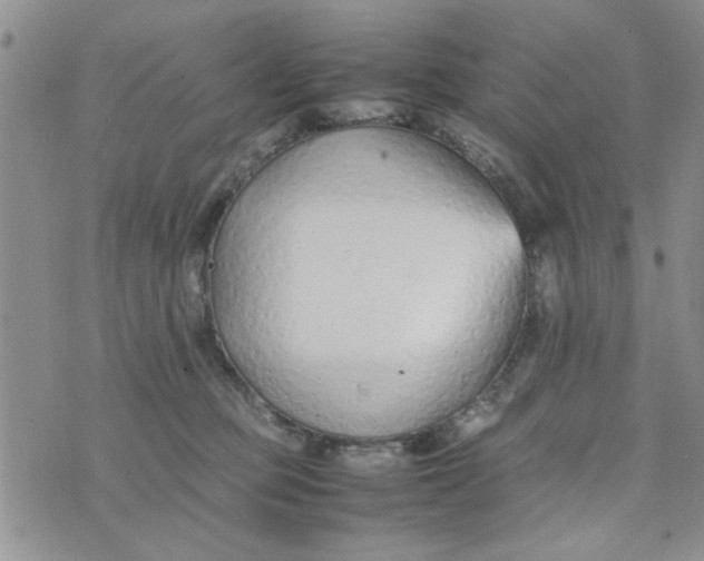 X0000074330373200609152103