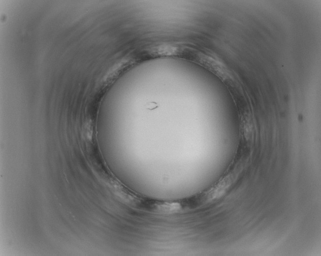 X0000074330374200609152103