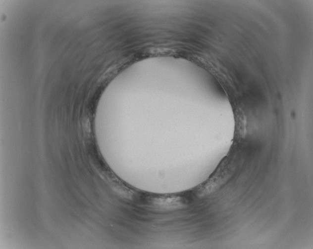 X0000074330375200609152103