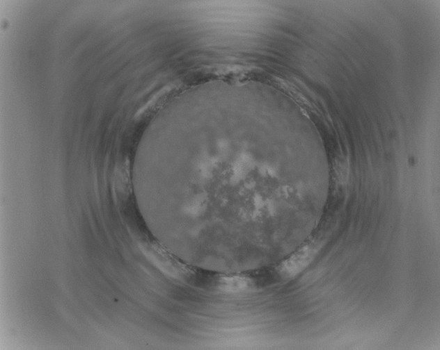 X0000074330376200609152103