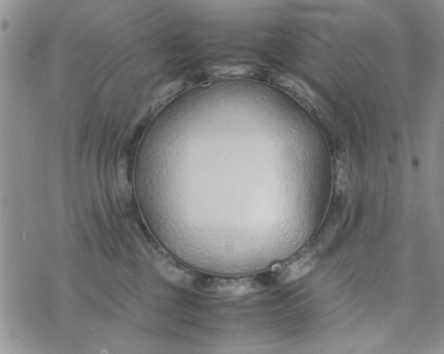 X0000074330377200609152103