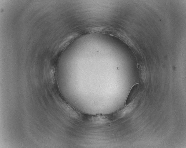 X0000074330378200609152103