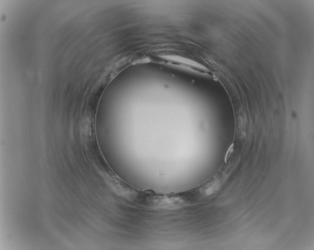 X0000074330379200609152103