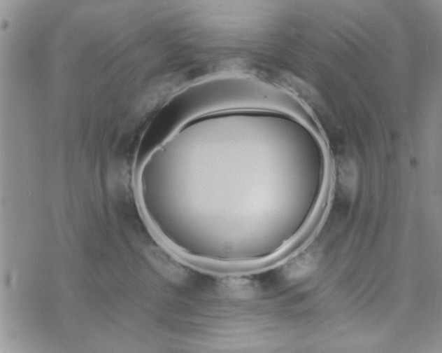 X0000074330380200609152103