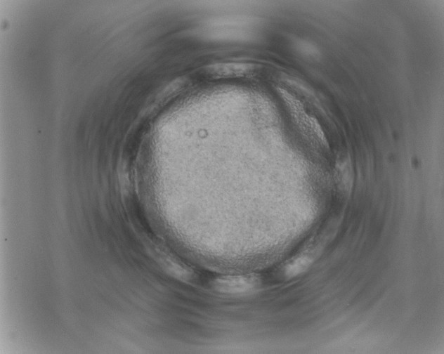 X0000074330381200609152103