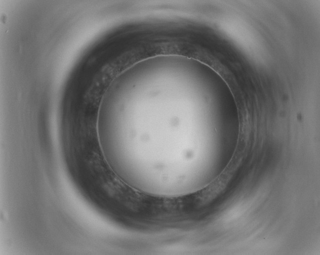 X0000074330383200609152103