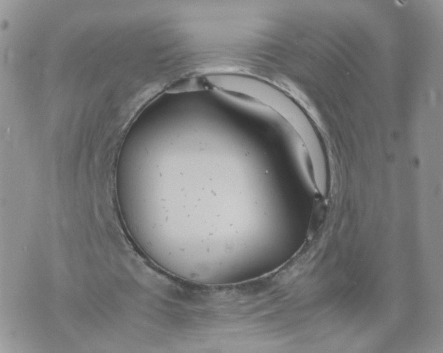 X0000074330385200609152102