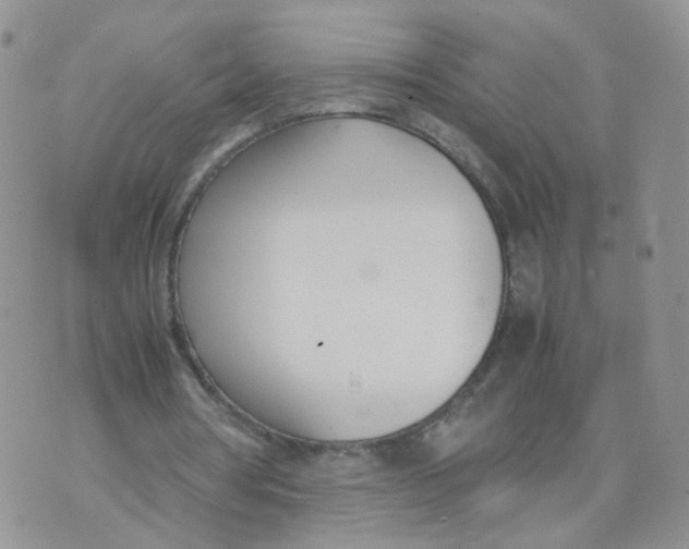 X0000074330386200609152102