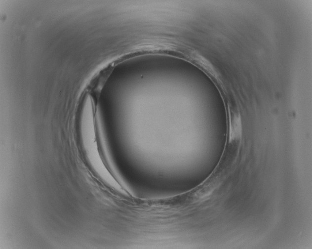 X0000074330387200609152102