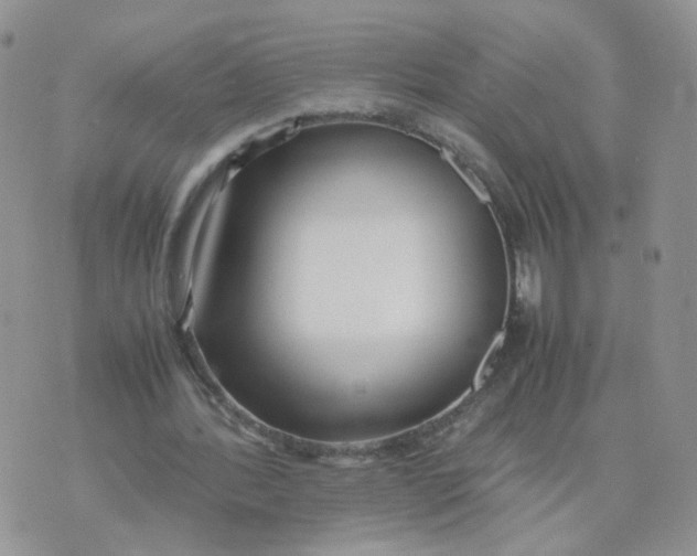 X0000074330388200609152102