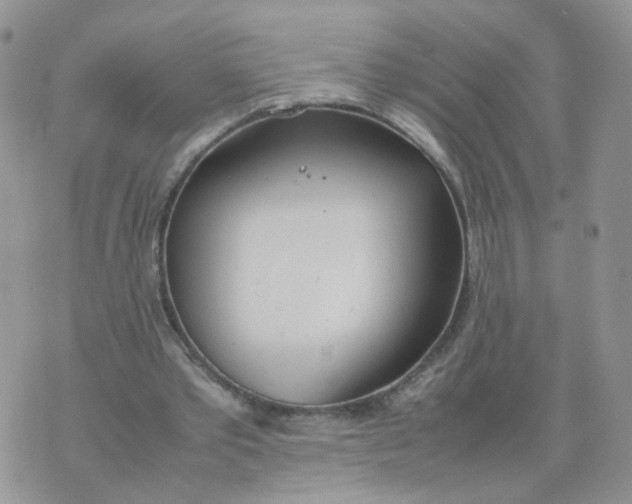 X0000074330389200609152102