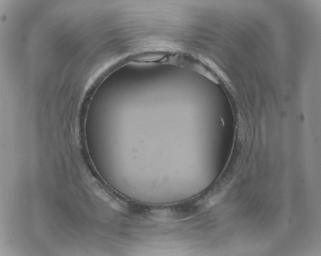 X0000074330391200609152102