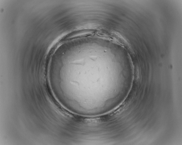 X0000074330392200609152102