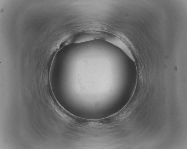 X0000074330393200609152102