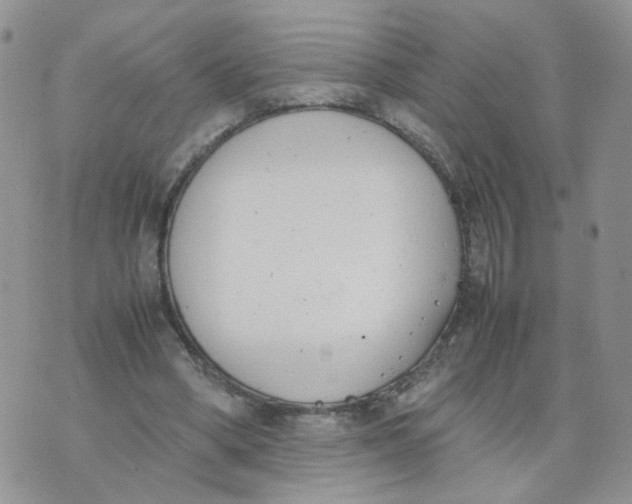 X0000074330394200609152102