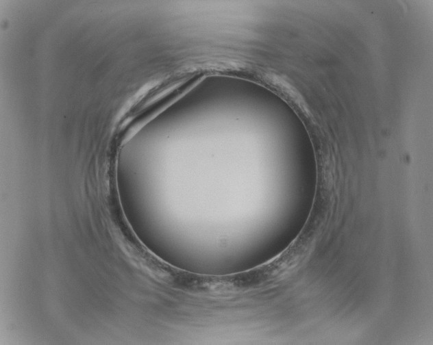 X0000074330395200609152102